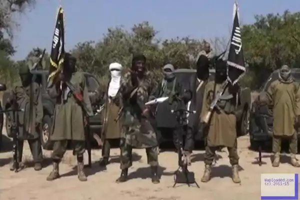 Boko Haram Attack Community Near Chibok, Steal Foodstuff